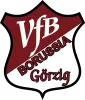 VfB Borussia Görzig*