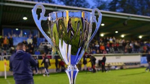 Sommerturniere zum Abschluss der F-Jugend-Saison