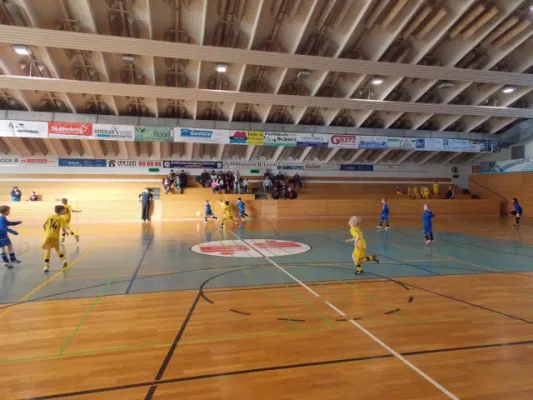 Werkzeugprofi Cup F -Jugend