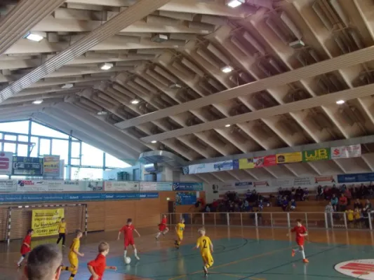 Werkzeugprofi Cup F -Jugend