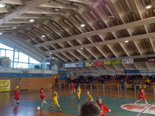 Werkzeugprofi Cup F -Jugend