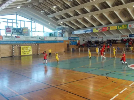 Werkzeugprofi Cup F -Jugend