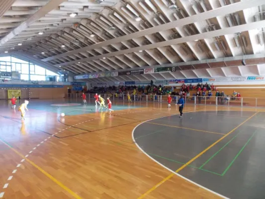 Werkzeugprofi Cup F -Jugend
