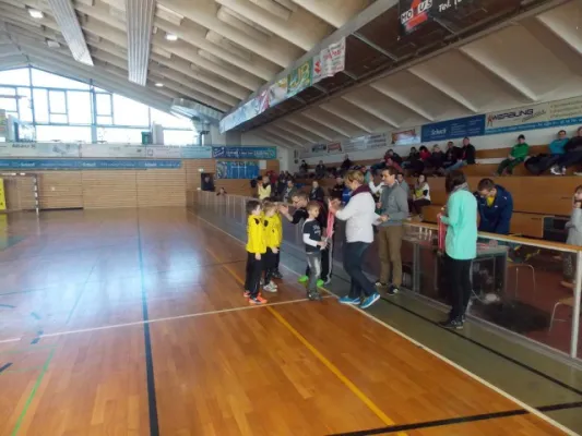 Werkzeugprofi Cup F -Jugend