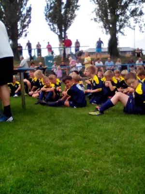 Hans Dorfner Fussballschule 2015