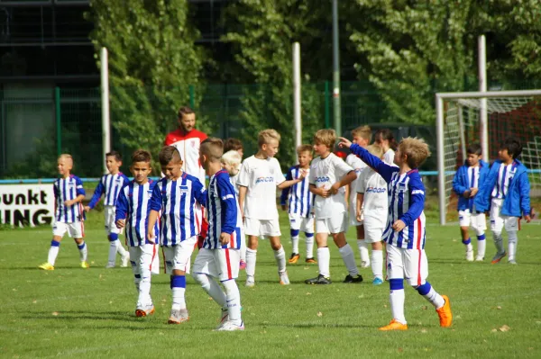 Blitzturnier vom 6.09.2015