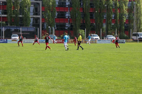 22.04.2018 SG WB Reinsdorf vs. Eintracht Bitterfeld