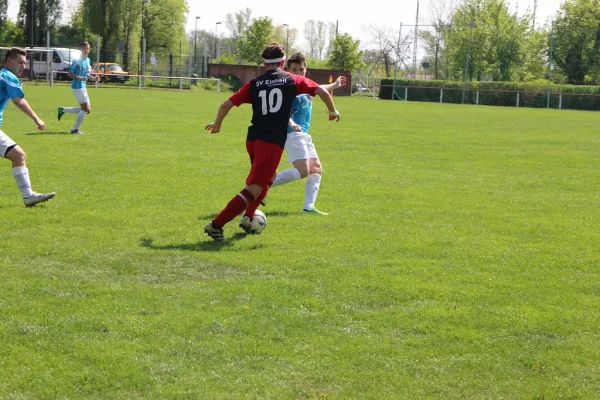22.04.2018 SG WB Reinsdorf vs. Eintracht Bitterfeld