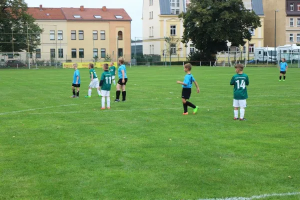 01.09.2017 WB Reinsdorf vs. Grün-Weiß Annaburg