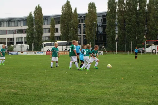 01.09.2017 WB Reinsdorf vs. Grün-Weiß Annaburg