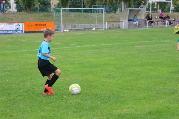 01.09.2017 WB Reinsdorf vs. Grün-Weiß Annaburg