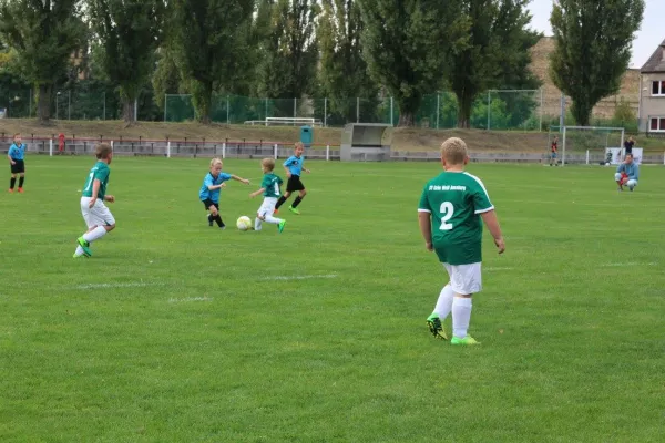 01.09.2017 WB Reinsdorf vs. Grün-Weiß Annaburg