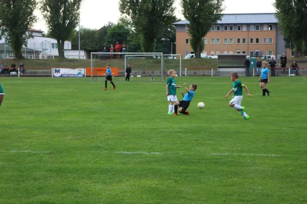 01.09.2017 WB Reinsdorf vs. Grün-Weiß Annaburg