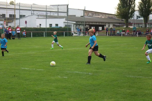 01.09.2017 WB Reinsdorf vs. Grün-Weiß Annaburg