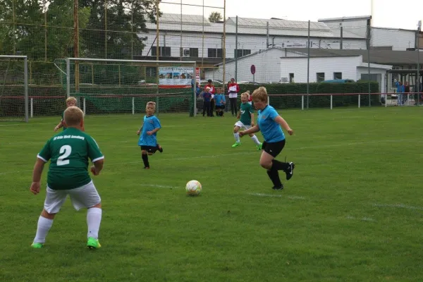 01.09.2017 WB Reinsdorf vs. Grün-Weiß Annaburg