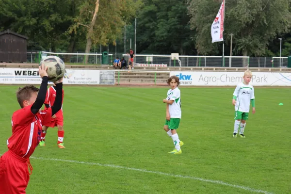 15.09.2017 FC GW Piesteritz vs. WB Reinsdorf