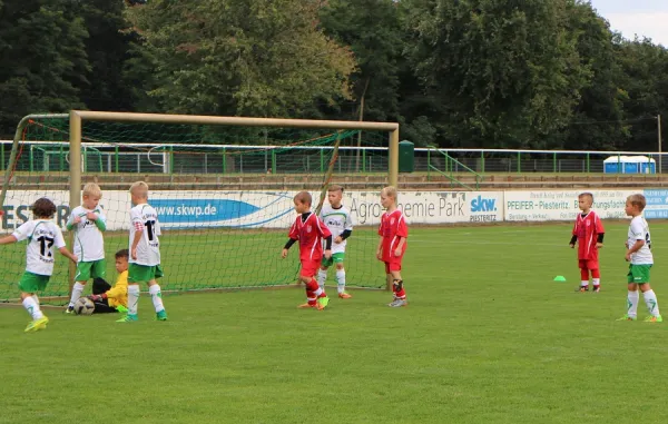15.09.2017 FC GW Piesteritz vs. WB Reinsdorf
