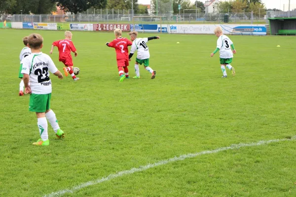 15.09.2017 FC GW Piesteritz vs. WB Reinsdorf