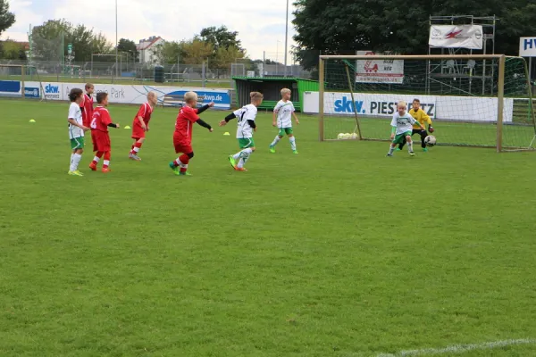 15.09.2017 FC GW Piesteritz vs. WB Reinsdorf