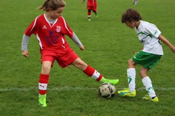 15.09.2017 FC GW Piesteritz vs. WB Reinsdorf