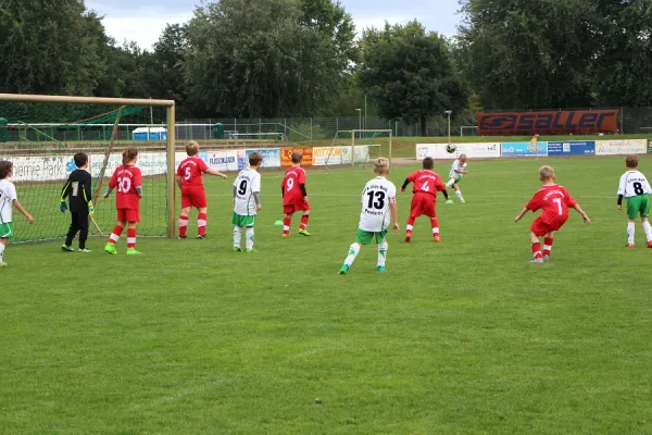 15.09.2017 FC GW Piesteritz vs. WB Reinsdorf