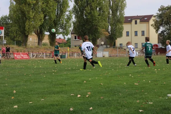 25.08.2018 SG WB Reinsdorf vs. Grün-Weiß Annaburg