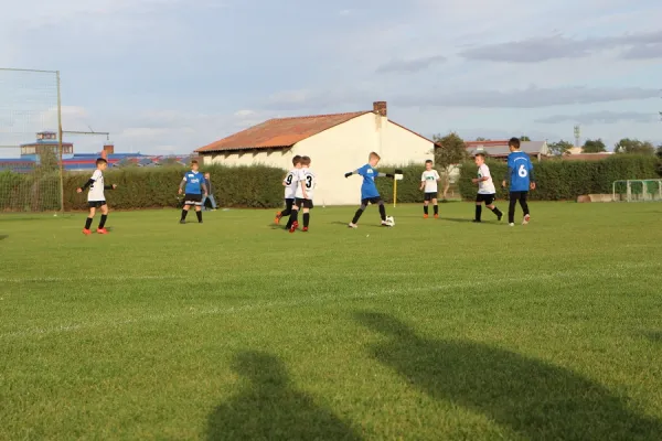 28.09.2018 Allemannia 08 Jessen vs. SG WB Reinsdorf