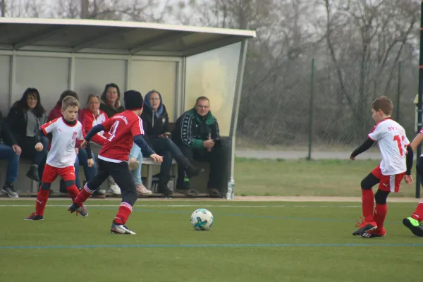 31.03.2019 SV Eintracht Elster vs. SG WB Reinsdorf