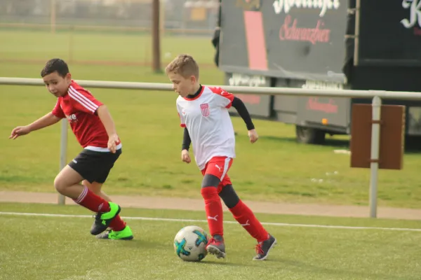 31.03.2019 SV Eintracht Elster vs. SG WB Reinsdorf