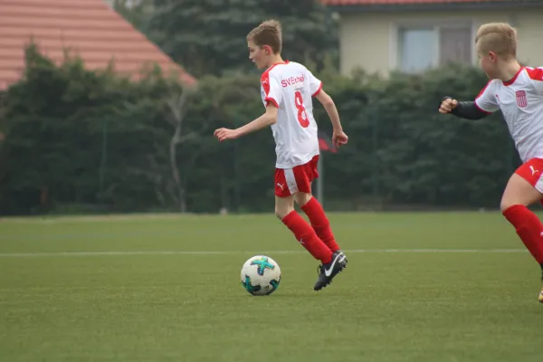 31.03.2019 SV Eintracht Elster vs. SG WB Reinsdorf