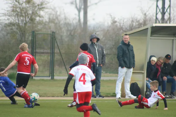 31.03.2019 SV Eintracht Elster vs. SG WB Reinsdorf