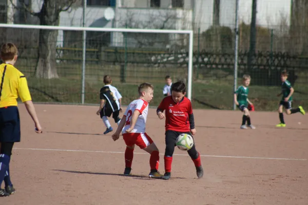 23.03.2019 SG WB Reinsdorf vs. SV Eintracht Elster