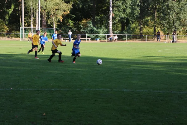 12.09.2018 JSG Heidekicker vs. SG WB Reinsdorf