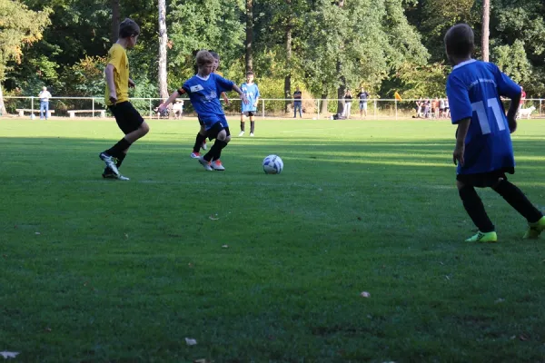 12.09.2018 JSG Heidekicker vs. SG WB Reinsdorf
