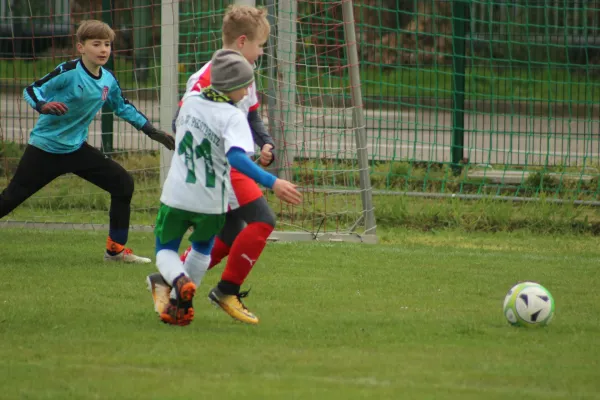 13.04.2019 SG WB Reinsdorf vs. FC GW Piesteritz