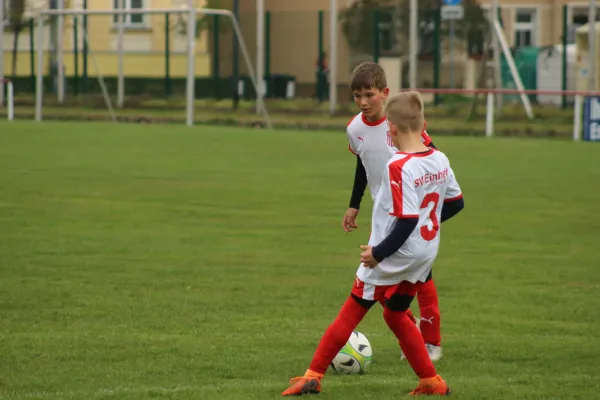 13.04.2019 SG WB Reinsdorf vs. FC GW Piesteritz