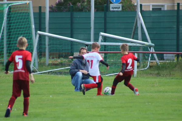 11.05.2019 SG WB Reinsdorf vs. SG Pratau/Seegrehna