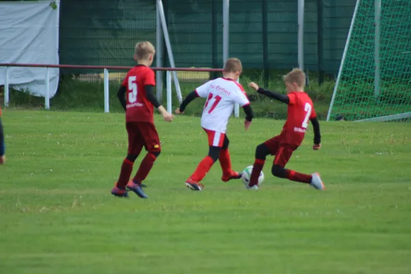 11.05.2019 SG WB Reinsdorf vs. SG Pratau/Seegrehna