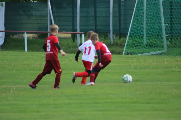 11.05.2019 SG WB Reinsdorf vs. SG Pratau/Seegrehna