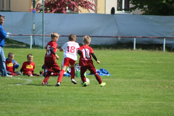 11.05.2019 SG WB Reinsdorf vs. SG Pratau/Seegrehna