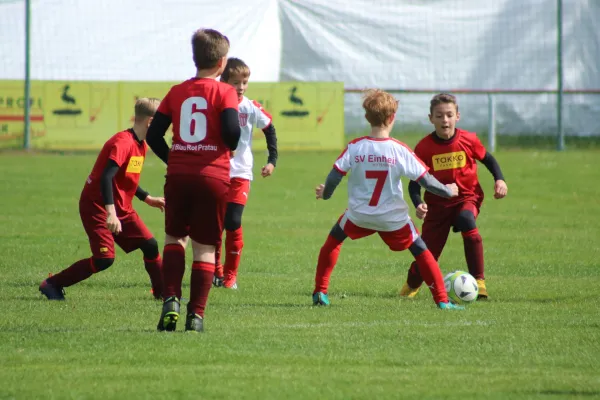 11.05.2019 SG WB Reinsdorf vs. SG Pratau/Seegrehna
