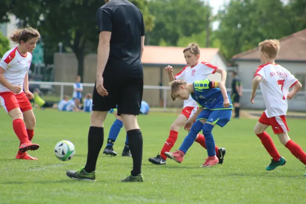 25.05.2019 VfB Gräfenhainichen vs. SG WB Reinsdorf