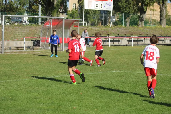 21.09.2019 SG WB Reinsdorf vs. SV Eintracht Elster