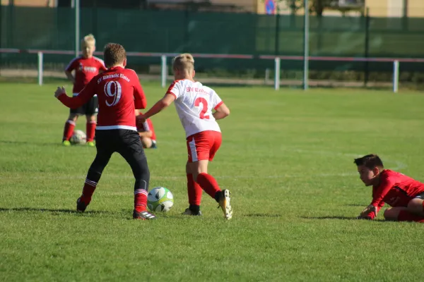 21.09.2019 SG WB Reinsdorf vs. SV Eintracht Elster