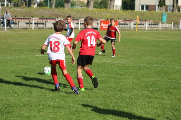 21.09.2019 SG WB Reinsdorf vs. SV Eintracht Elster