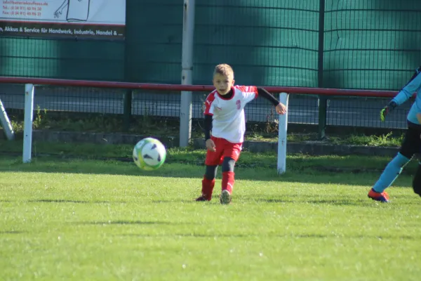 21.09.2019 SG WB Reinsdorf vs. SV Eintracht Elster