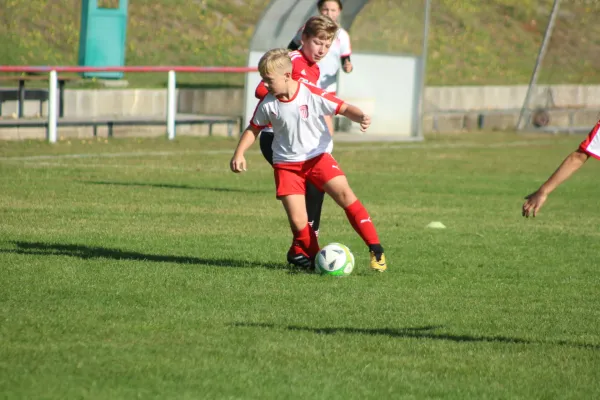 21.09.2019 SG WB Reinsdorf vs. SV Eintracht Elster