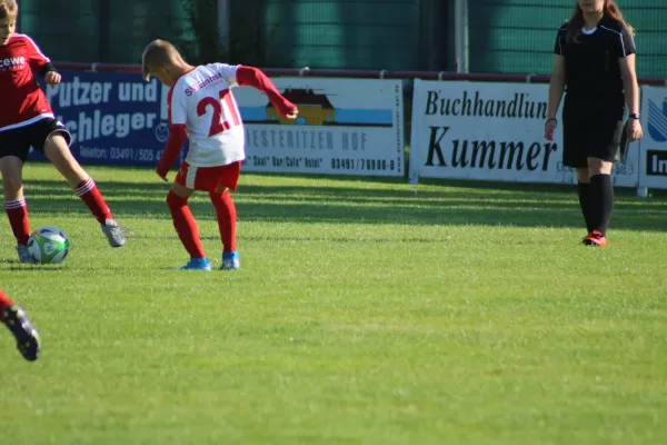 21.09.2019 SG WB Reinsdorf vs. SV Eintracht Elster