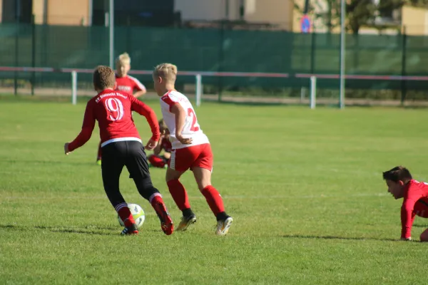 21.09.2019 SG WB Reinsdorf vs. SV Eintracht Elster